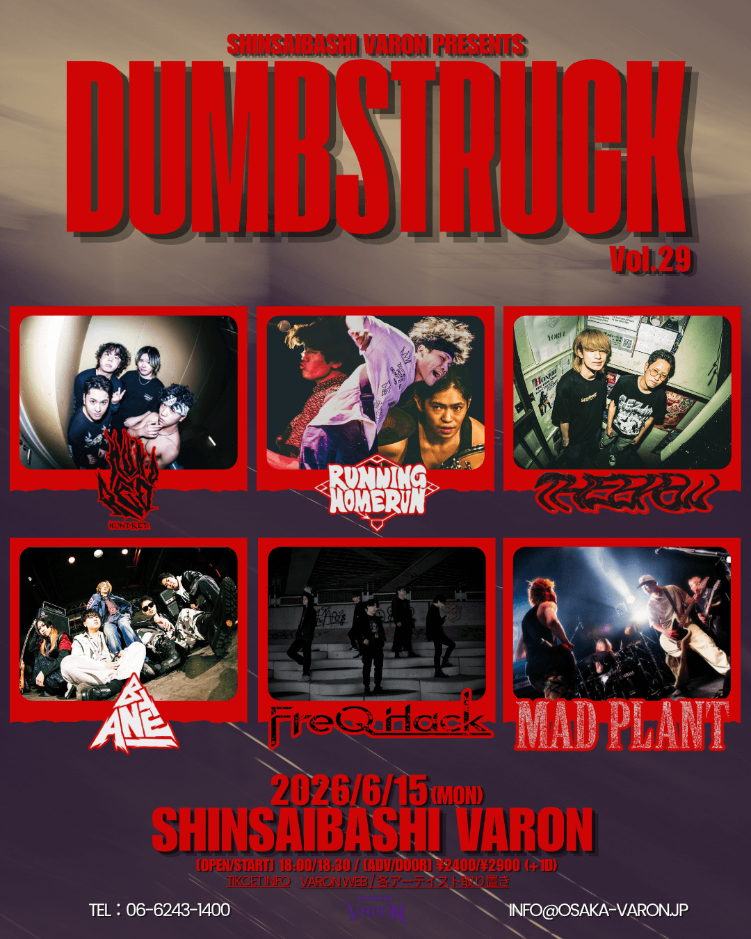 DUMBSTRUCK Vol.29